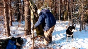 По первому снегу. ЛУЗАН - "рюкзак" Коми охотника. Вторая часть.