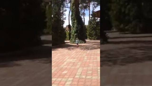 Святогорск Полярная Медведица смотреть онлайн