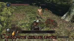 Dark souls 2 Оружие из душ боссов [Двуручный меч Преследователя]