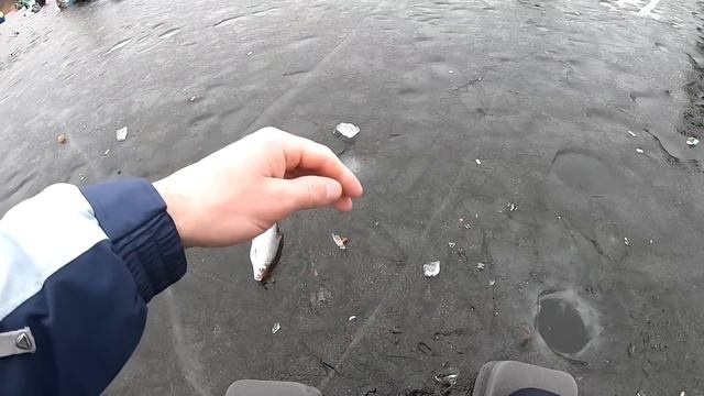 Туман, відлига, клює тільки крупняк. смотреть онлайн