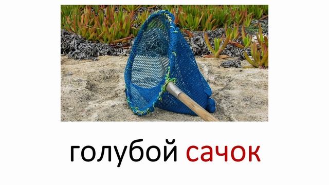 Изучаем слово net, сеть, сачок, словосочетания и предложение с ним