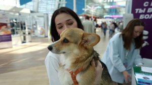 Московский международный ветеринарный конгресс ММВК 2025 в Сколково.