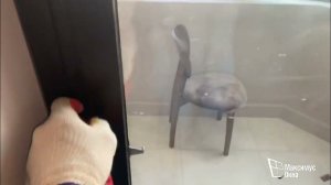 Раздвижные двери на балкон