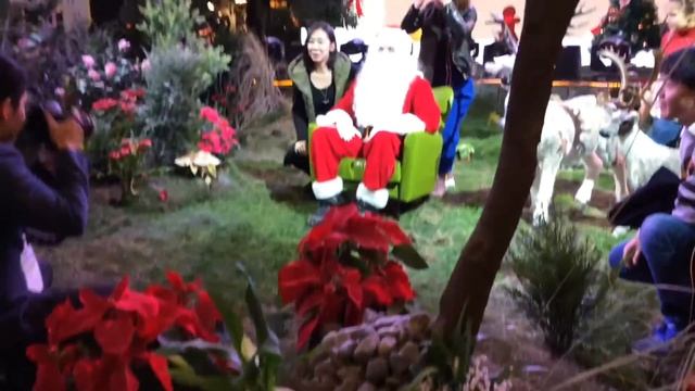 Оазис в торговом центре🎍| Показ в Hangzhou | Моделинг в Шанхае смотреть онлайн