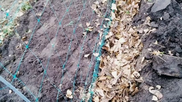 Лёгкие способы превращения осеннего листья и сорняков в ценное удобрение без особого труда