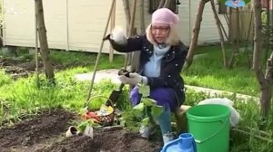 Выращивание огурцов с Октябриной Ганичкиной