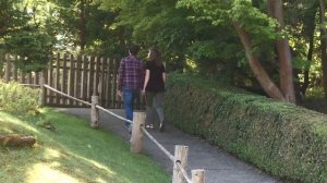 КРАСОТЫ МИРА