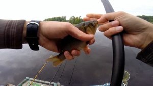 Ловля КРУПНОГО КАРАСЯ на ЗВЕЗДОЧКУ. Рыбалка на диком озере.