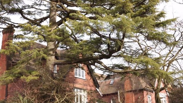 ВЕСНА в Лондоне смотреть онлайн