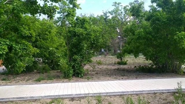 Сиреневый туман. смотреть онлайн