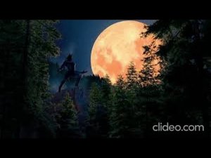 страшные истории. волки или оборотни ходили ночью возле машины