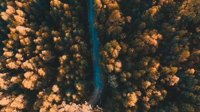 ЛЮДМИЛА ОПЯТЬ ПРИТАЩИЛА КОШКУ. ДЕЛАЮЩИЙ ДОБРО.