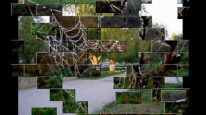 МОЙ АРМЯНСК КРЫМ. РОССИЯ!!!