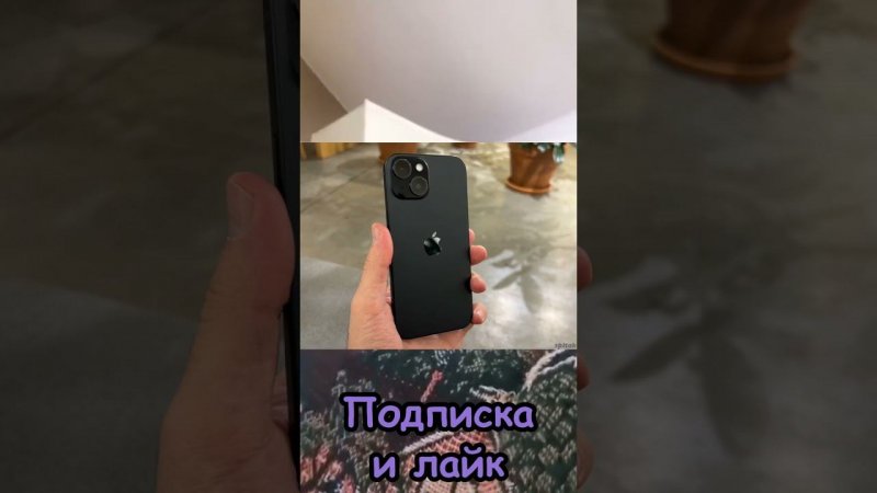 Выбери в какой ты команде #рек #рекомендации #кот #игнор #котики #выбери #иисус #а4 #shortvideo