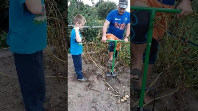 универсальный картофелекопатель ,,Сталк,,