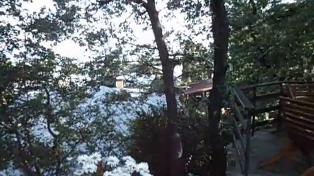 Площадка перед бассейном и парк . Алупка  Домовладение 74.