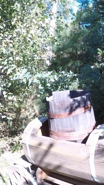 Усадьба Лебедь Турочак Республика Алтай Часть 22 #Shorts смотреть онлайн