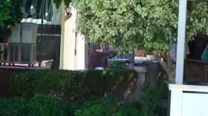 SUNSET BEACH HOTEL. ALANYA TURKEY. (ПЛЯЖНЫЙ БАР). vol.2