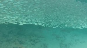 Мальдивы (Maldives).Отель SUN ISLAND RESORT & SPA 5* Райское место.Острова.