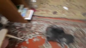 Как сделать кровать для басиков,Новый формат видео