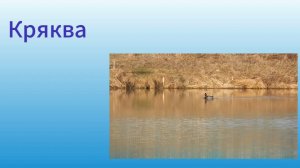 Кряква