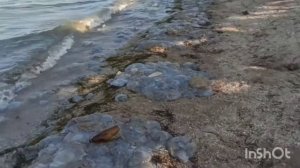 Геническ 2021