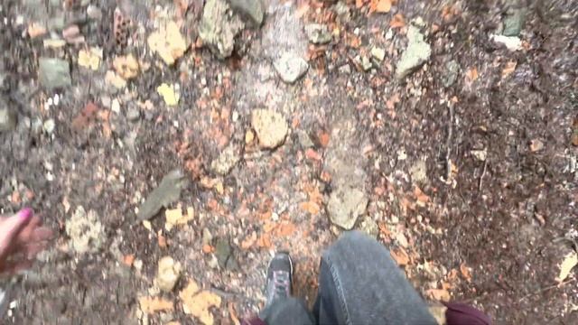 Vlog | ВЫХОДНЫЕ В ГЕРМАНИИ | ПОЕЗДКА НА ОЗЕРО