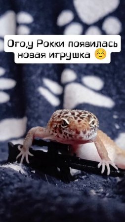 Прям мими🤣