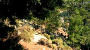 Ликийская тропа. 5 день ( Кабак - Ге )