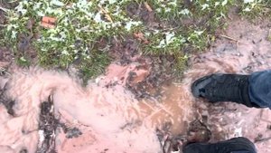 ЛУЧШЕ ЧЕМ LOWA? ТЕСТ ТАКТИЧЕСКИХ БОТИНОК WARBOOTS