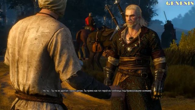 The Witcher 3 Wild Hunt Скрытый квест Гробница героя смотреть онлайн