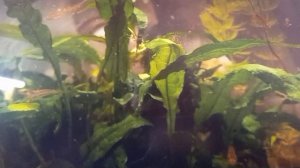 Страх и ложь как индикаторы кризиса системы знаний.