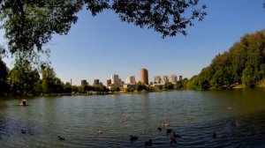 Реутовский пруд