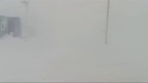 1000068842.mp4