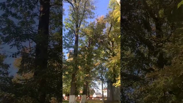 Парк в с.Ведено , Октябрь 2023 год смотреть онлайн