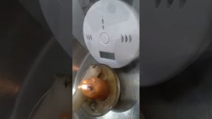 Проверка датчика угарного газа  старого образца