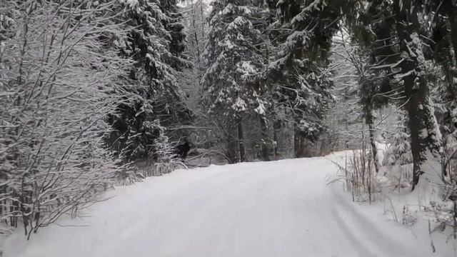 Покатушки на ниве/красота зимнего леса смотреть онлайн