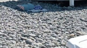 пляж . посёлок весёлое. адлерский район