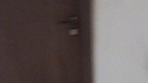 Обзор номера в отеле "Приют панды"