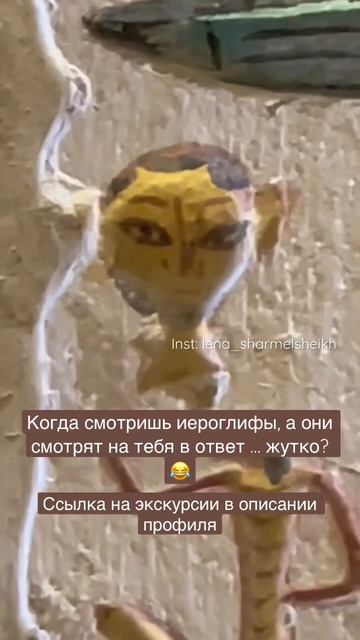 Древнеегипетские иероглифы смотрят на вас #экскурсиившармэльшейх