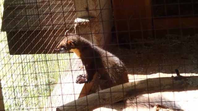 Между Неманом и Бугом смотреть онлайн