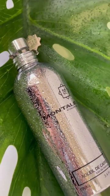 Montale Soleil de Capri ☀️ Дневной, освежающий цветочно-фруктовый парфюм #распив #селектив #духи смотреть онлайн
