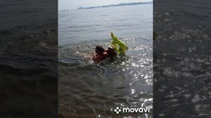 бухта Лашкевича. Приморский край г. Находка.