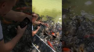 Ниньбинь - Вьетнам. Часть 2