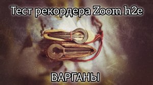 Варганы и тест рекордера Zoom h2essential