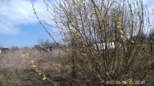 Май. Дача. В мае на даче.