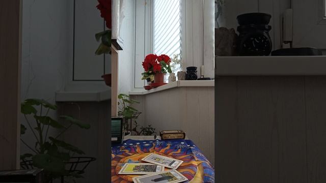 1000323972.mp4