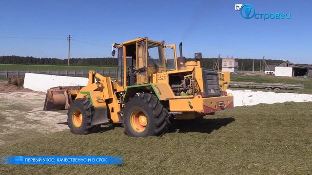 ТВой Островец - ТВОИ НОВОСТИ [выпуск 69] смотреть онлайн