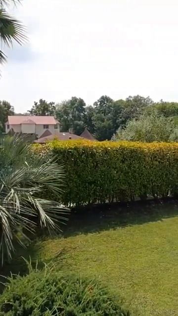 Дом с бассейном в #Сочи 🌊 🌴 #shorts #домвсочи смотреть онлайн