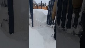 В снежном плену. Без лопаты никуда)))